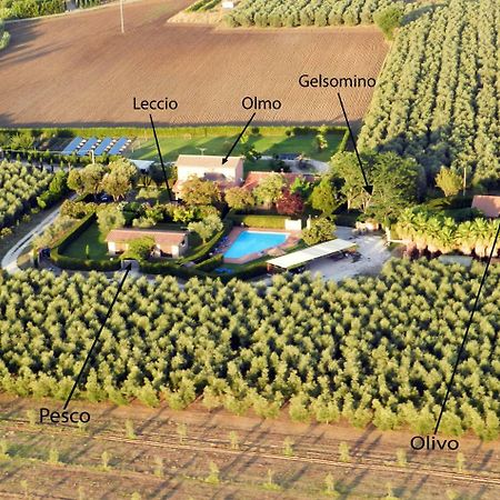 דונוראטיקו Podere Campi Al Mare מראה חיצוני תמונה